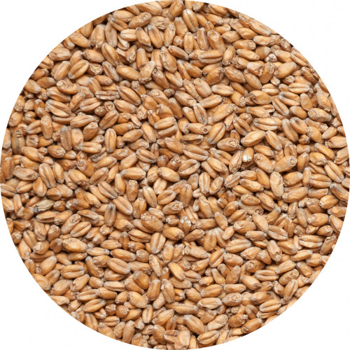 Солод пшеничный (пр-во Финляндия)